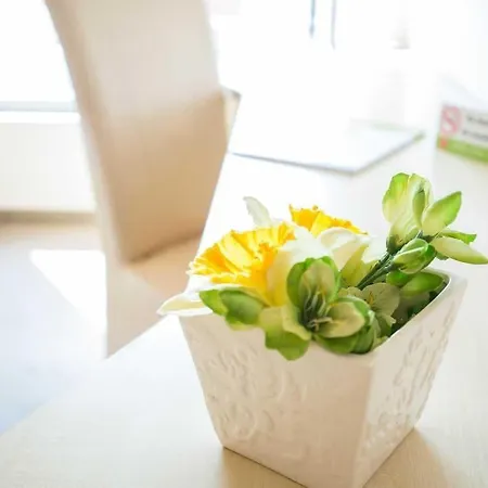 Stop מלון בראשוב